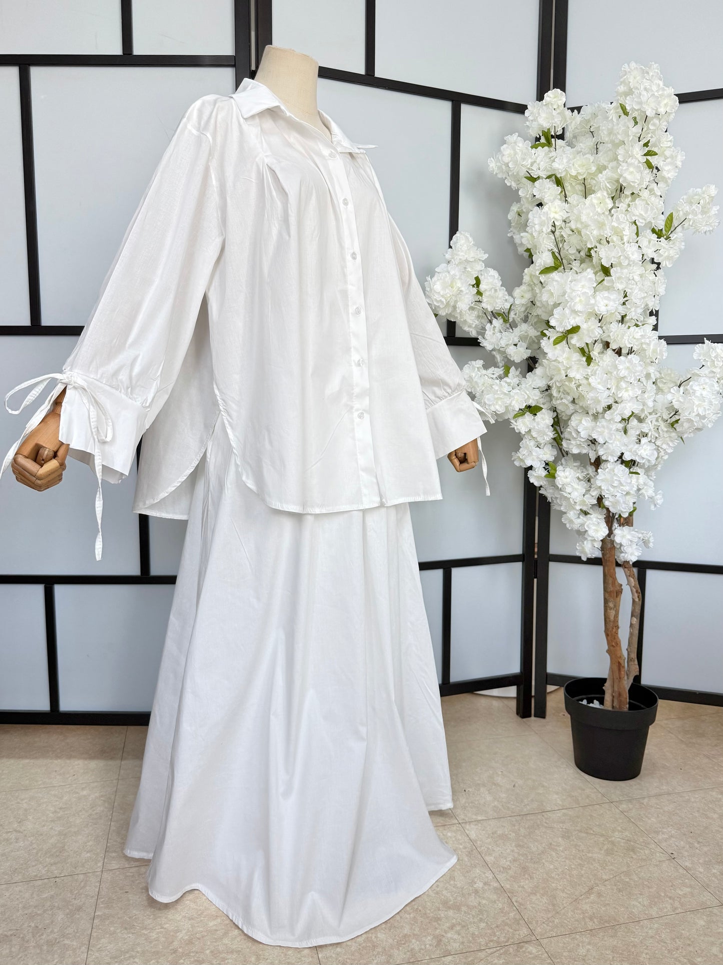 Ensemble Shams